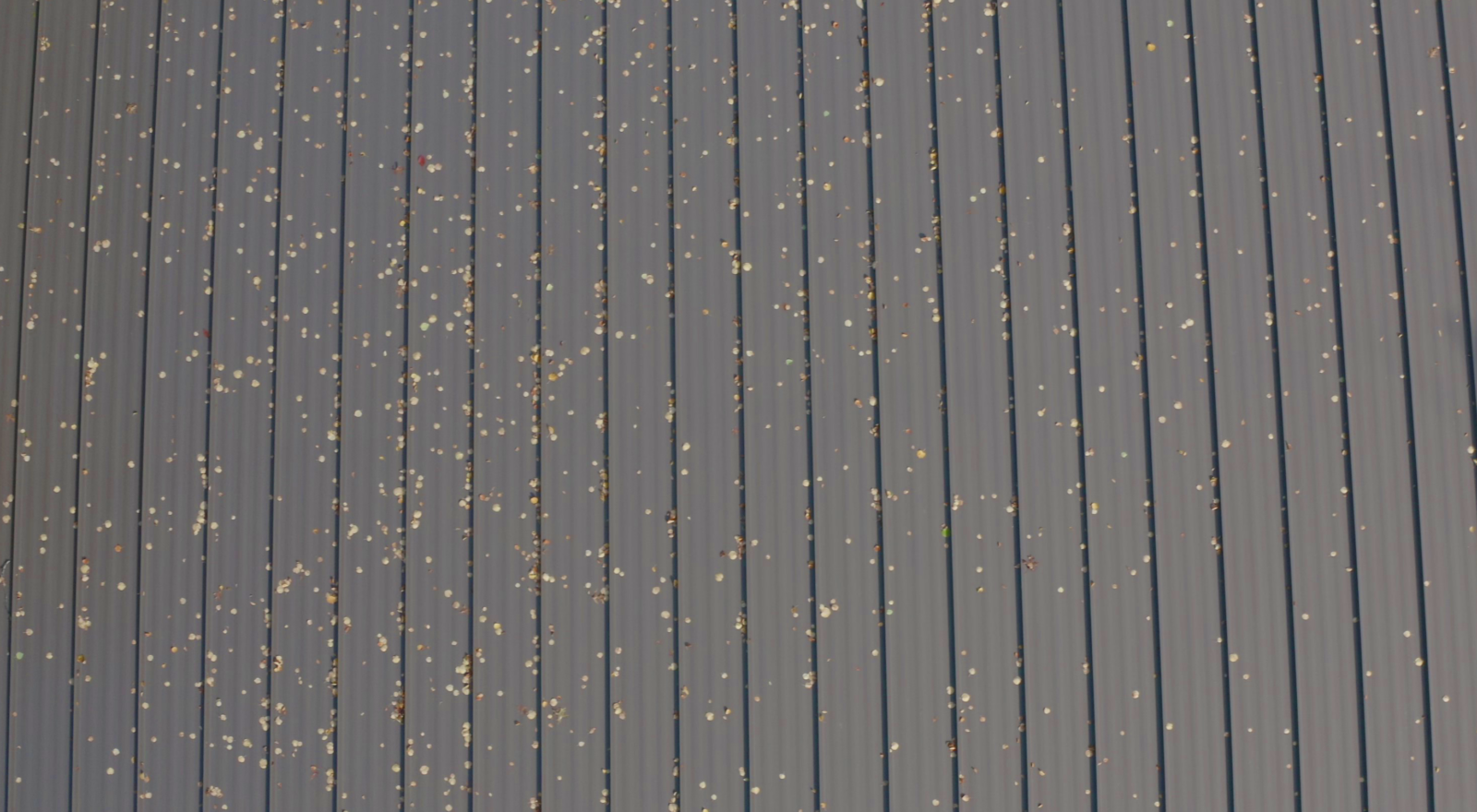 How to Clean a Painted Metal Roof Best Methods, Solutions, & More