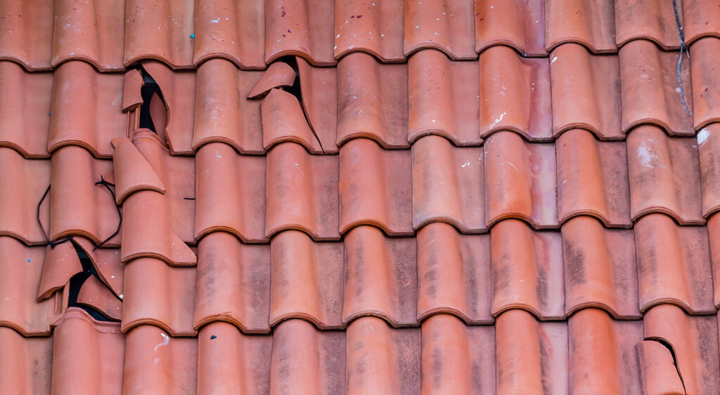 Clay roof tiles - Products - CREATON