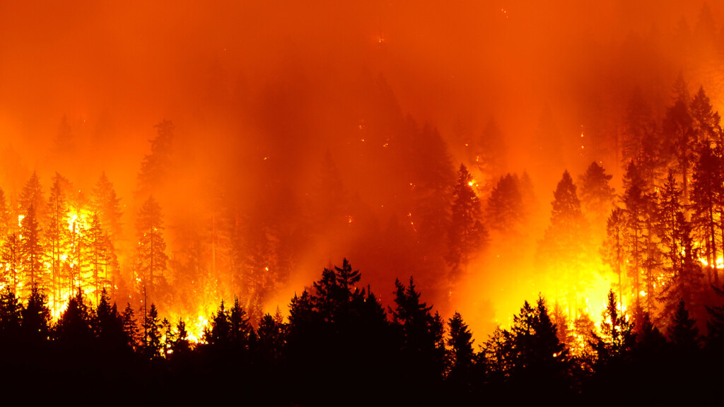 Are Metal Roofs Fireproof? Metal Roofing Performance in Wildfire Areas