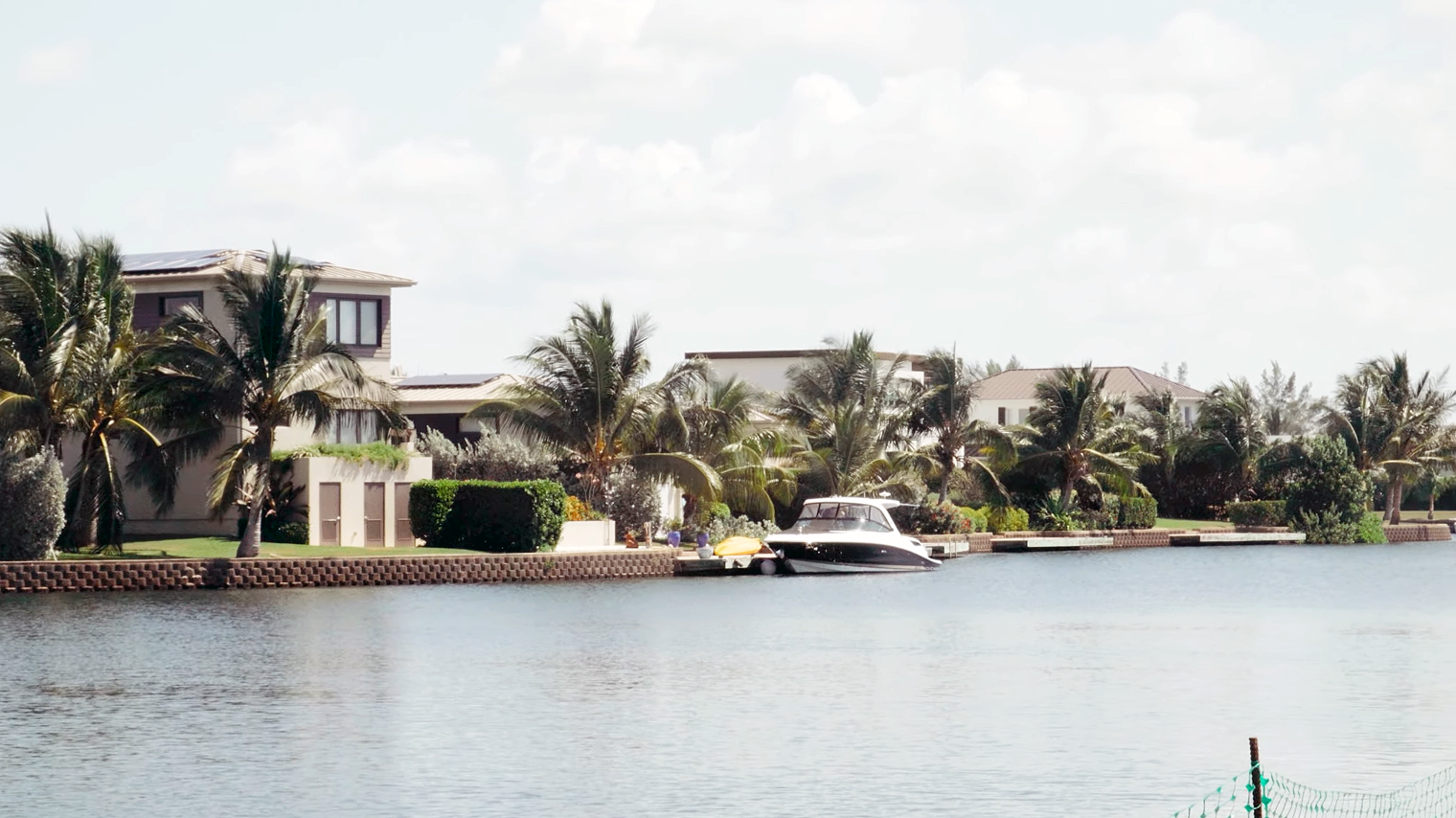 Riverside view with palm trees and homes with metal roofs along the water's edge