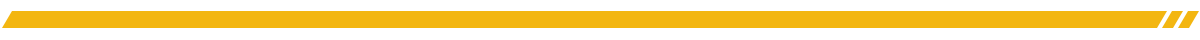 This image has an empty alt attribute; its file name is Mazzella_RedDivider_1.png
