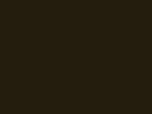 Low-Sheen Dark Bronze Metal Coil Color