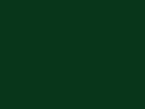 L/S Evergreen-499