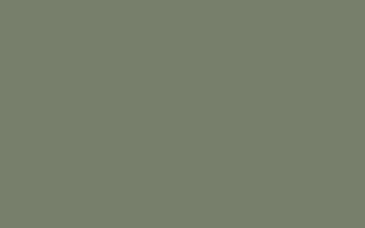 Patina Green-747