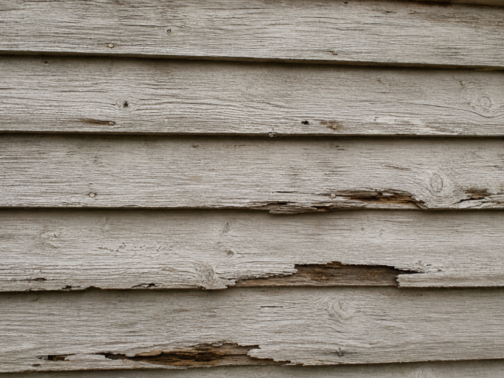 Weathered wood siding 